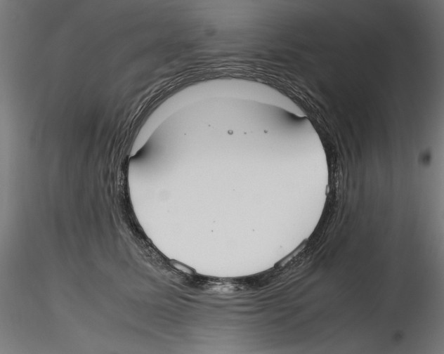 X0000116460611201001061040