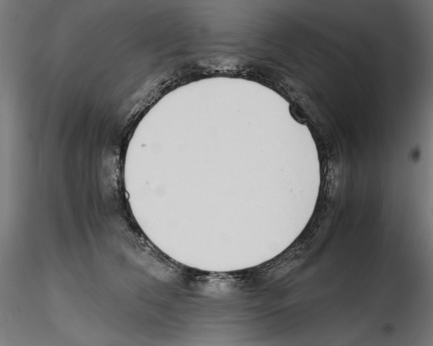 X0000116460612201001061039