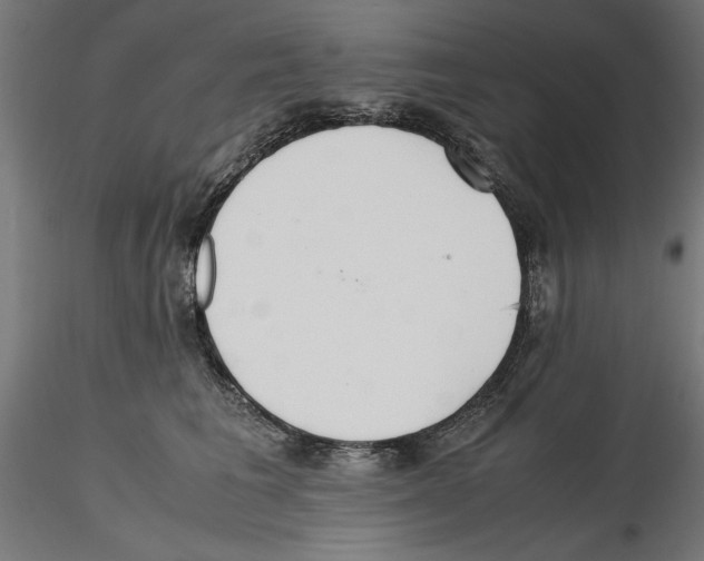 X0000116460613201001061039