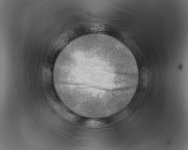 X0000116460614201001061039