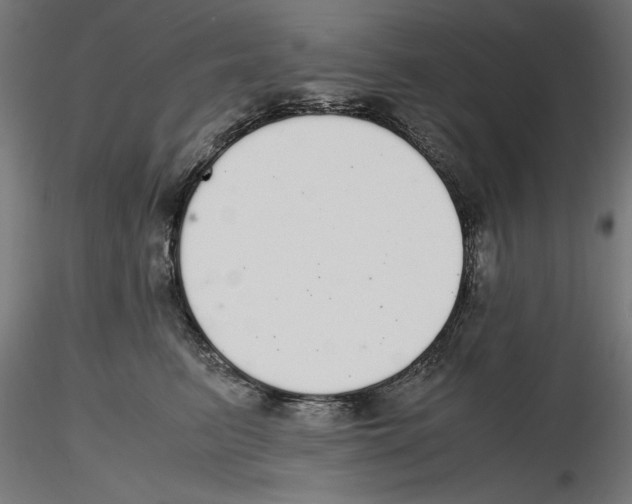 X0000116460615201001061039