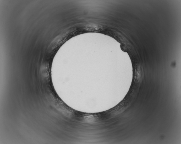 X0000116460616201001061039