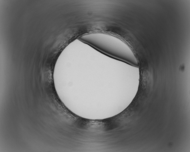 X0000116460617201001061039