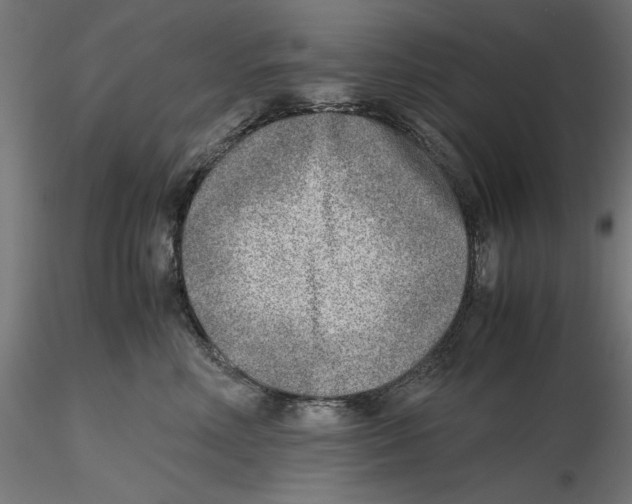 X0000116460618201001061039