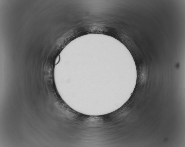 X0000116460619201001061039