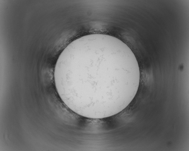 X0000116460621201001061039