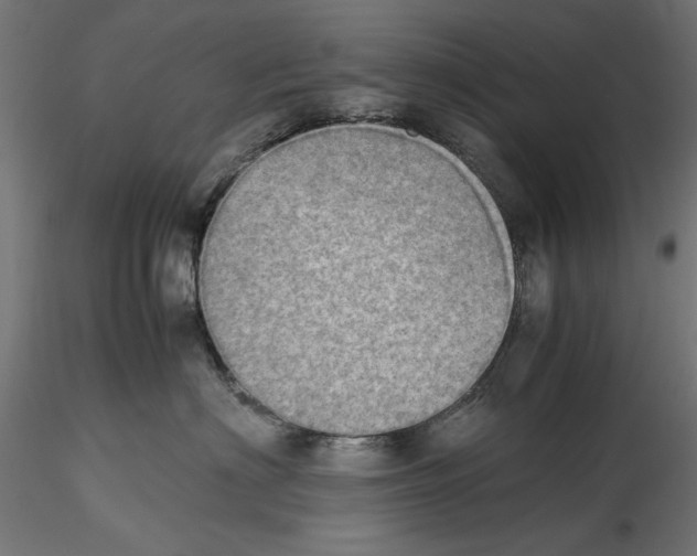 X0000116460622201001061039