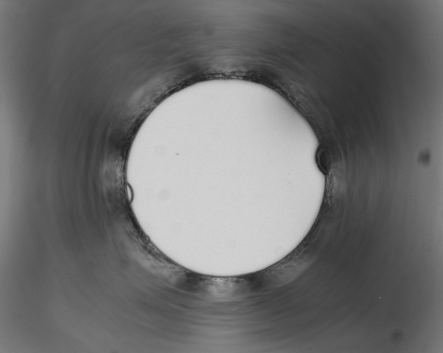X0000116460623201001061039