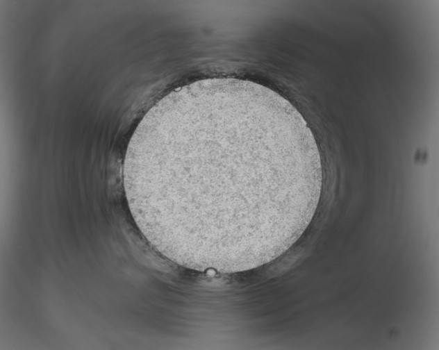 X0000116460624201001061039