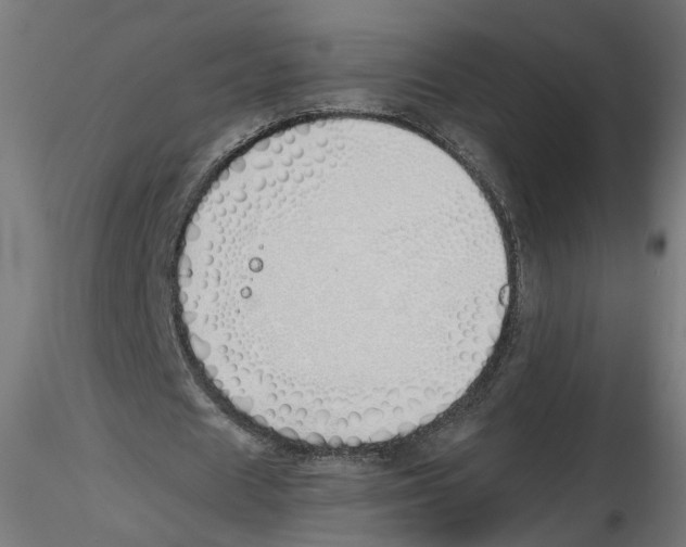 X0000116460625201001061039