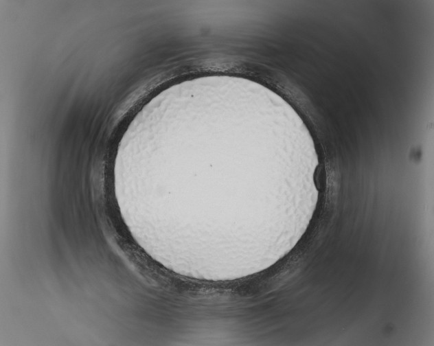 X0000116460626201001061039