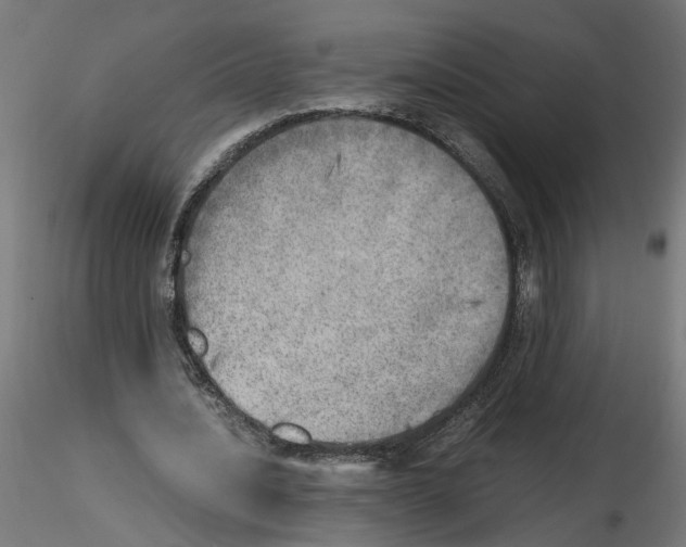 X0000116460628201001061039