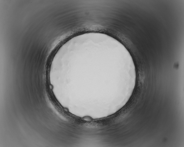 X0000116460630201001061039