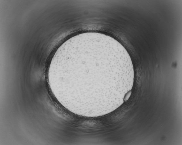 X0000116460631201001061039