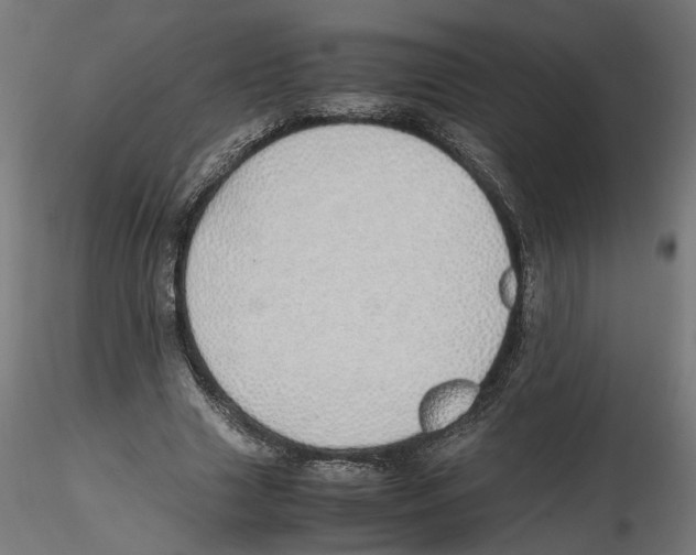 X0000116460633201001061039