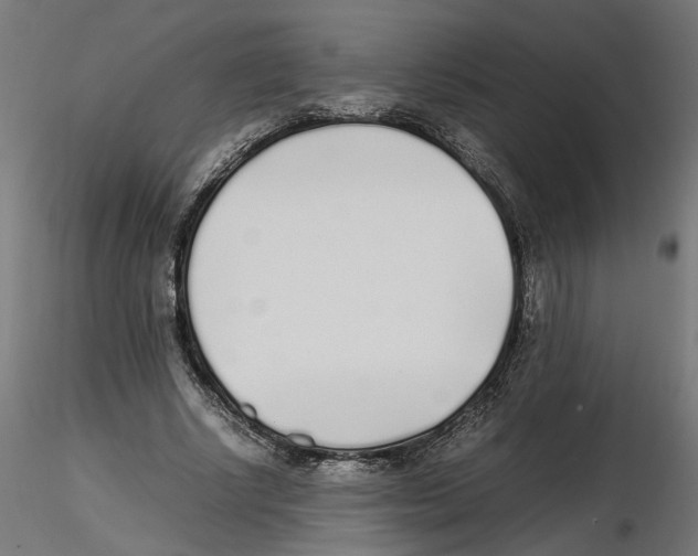 X0000116460634201001061039