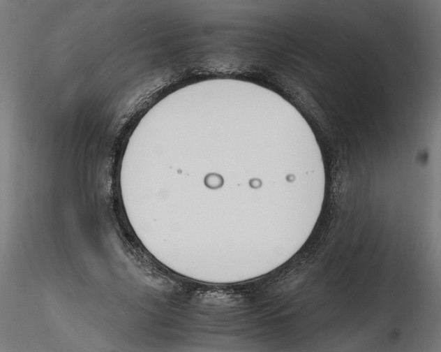 X0000116460635201001061039