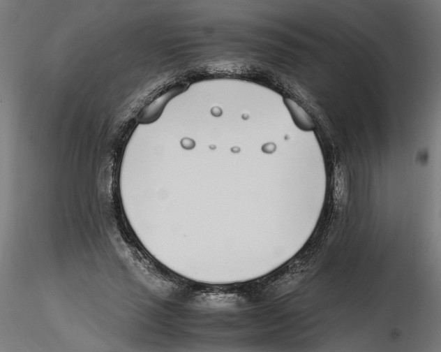 X0000116460637201001061039