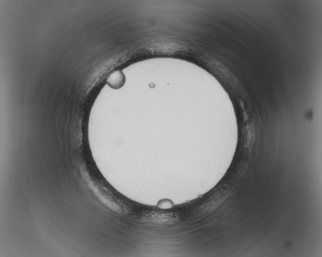 X0000116460638201001061039
