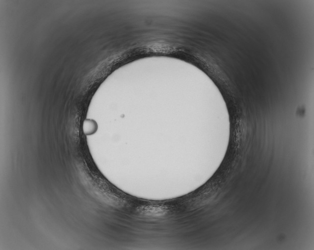 X0000116460639201001061039
