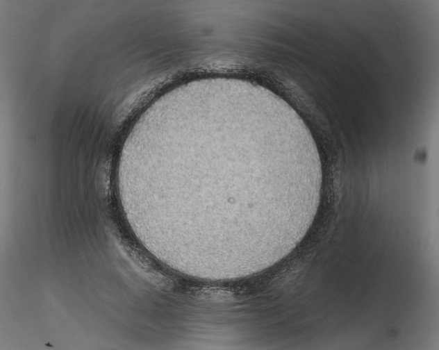 X0000116460640201001061039