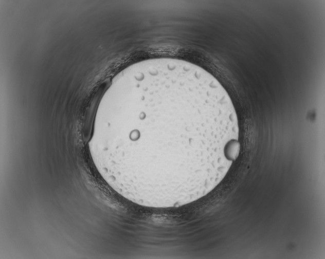 X0000116460641201001061039