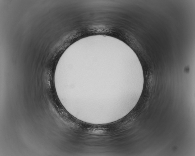 X0000116460643201001061039