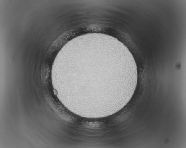 X0000116460645201001061039