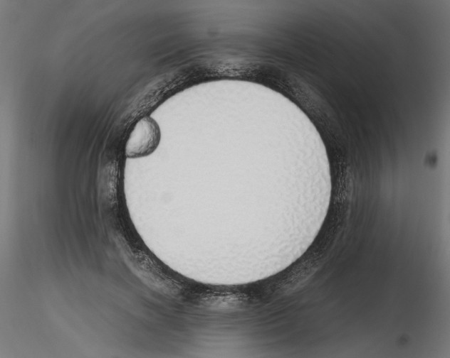 X0000116460646201001061039