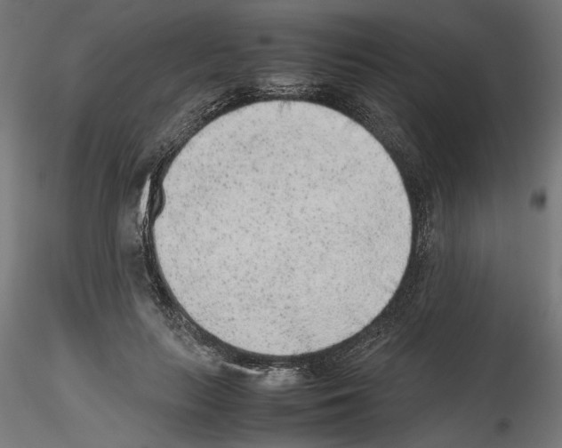 X0000116460647201001061039