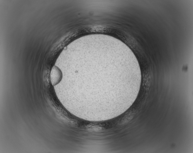 X0000116460648201001061039