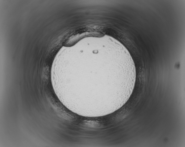 X0000116460649201001061039