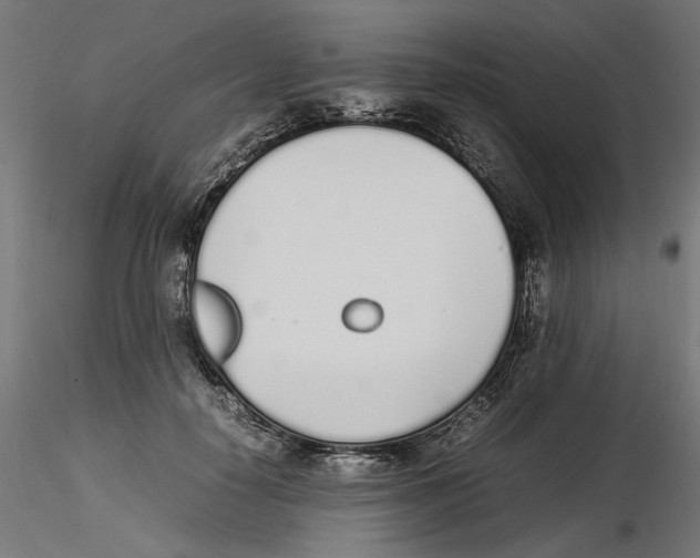 X0000116460650201001061039