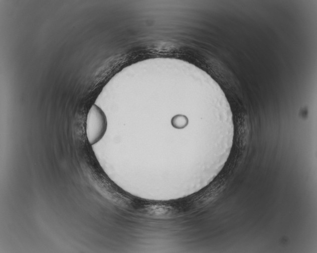X0000116460654201001061039