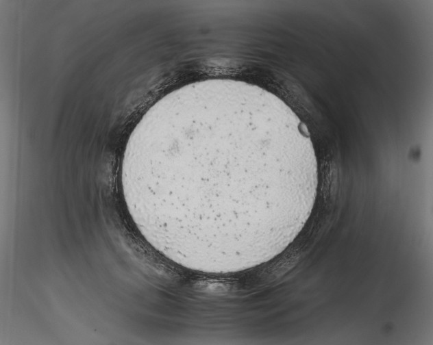 X0000116460655201001061039