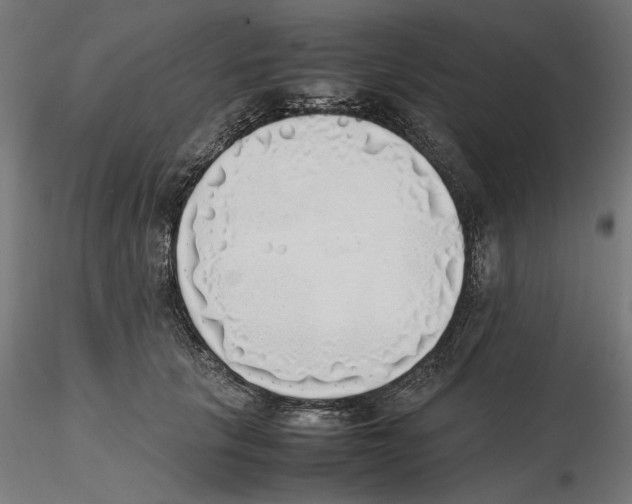 X0000116460657201001061039
