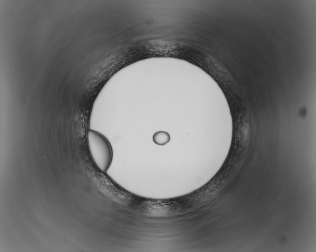 X0000116460658201001061039