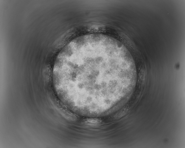 X0000116460659201001061039