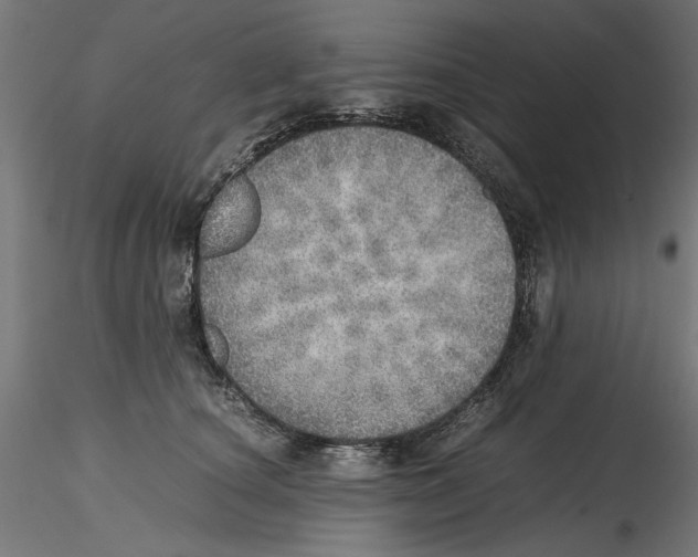 X0000116460660201001061039