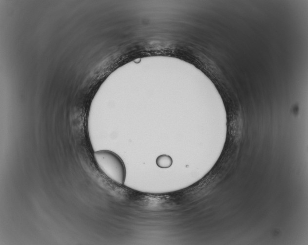 X0000116460662201001061039
