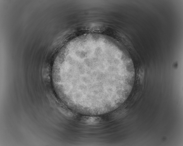 X0000116460663201001061039