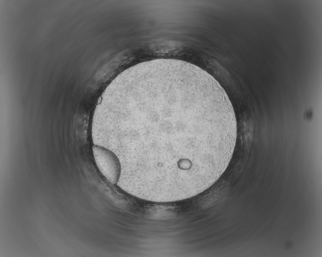 X0000116460664201001061039
