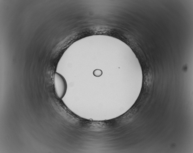 X0000116460666201001061039