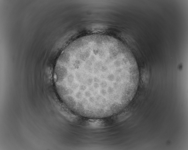 X0000116460667201001061039