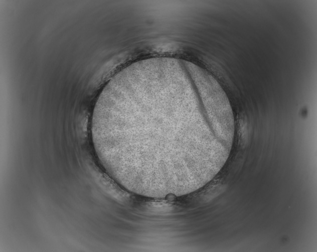 X0000116460668201001061039