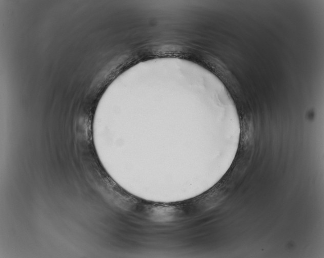 X0000116460669201001061039