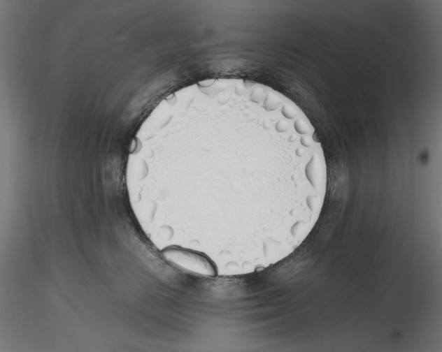 X0000116460670201001061039