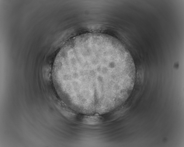 X0000116460671201001061039