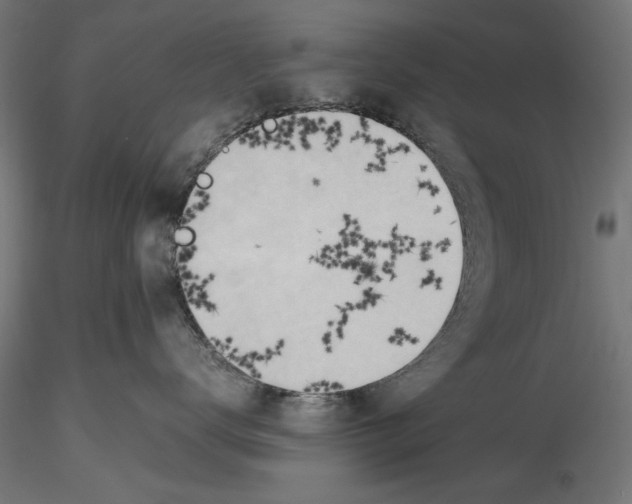 X0000116460672201001061039