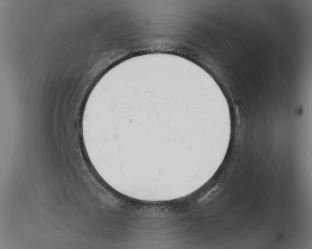 X0000116460673201001061039